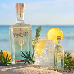 The Poseidon Gin Cocktail Bar at your event