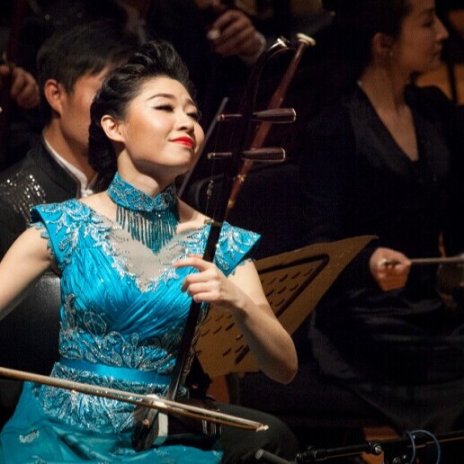 Violinist Rotterdam  (NL) 