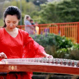 Harpist Rotterdam  (NL) Chinese Guzheng