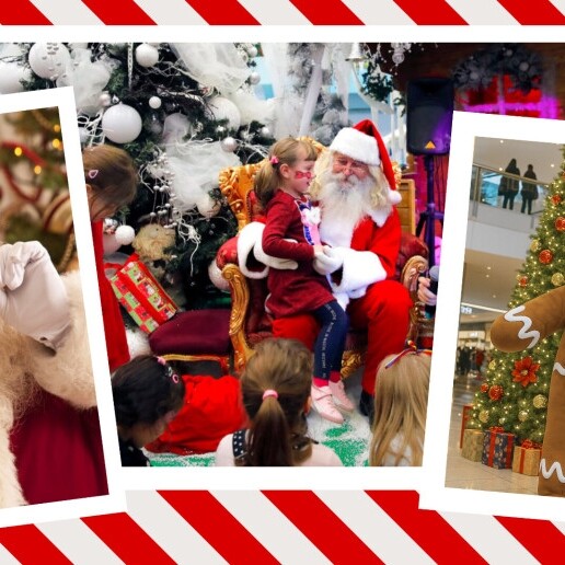 Actor Rotterdam  (NL) 