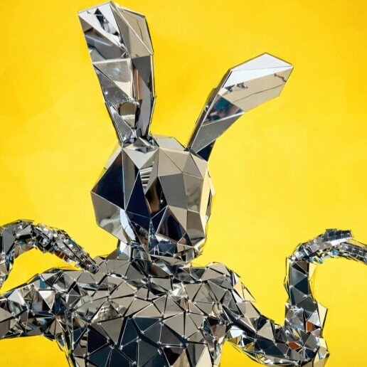 Dancer Rotterdam  (NL) 