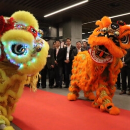 Dancer Rotterdam  (NL) Chinese Lion Dance