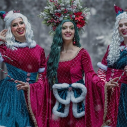 Christmas elves (Meet & Greet or Act)