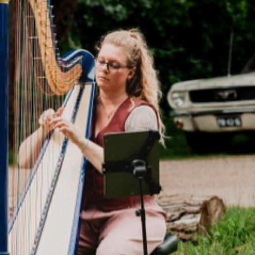Harpist Oost-souburg  (NL) 