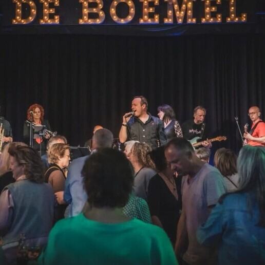 Band Sint Michielsgestel  (NL) 