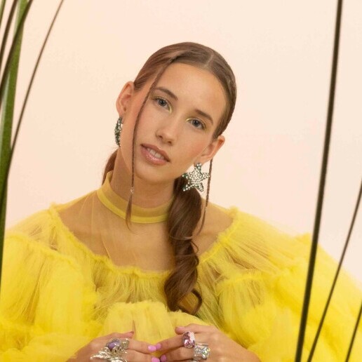 Trainer/Workshop Noordwolde  (Friesland)(NL) 