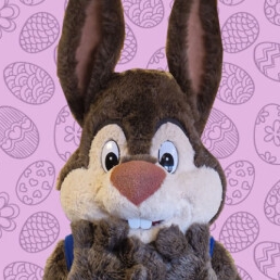 Rent the cutest and most beautiful Easter Bunny?