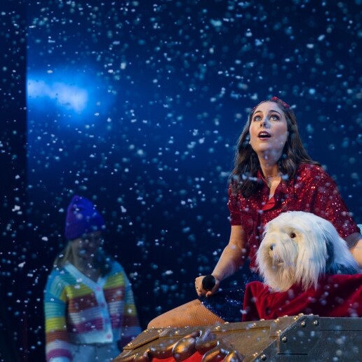 Singing group Schelle  (BE) 