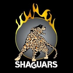 Shaguars party coverband