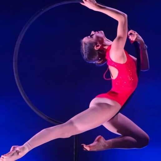 Acrobat Arnhem  (NL) 