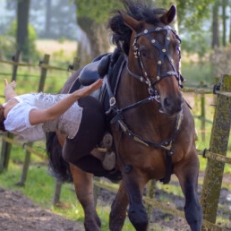  Paardenstuntshow (Golden Hoofs)