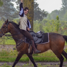 Stunt show Tiel  (NL) Horse stuntshow (Golden Hoofs)