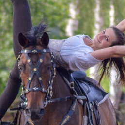  Paardenstuntshow (Golden Hoofs)