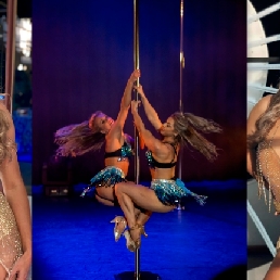 Freestyle Pole dance act