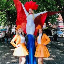 Stilt Act - The Dutch Highlights