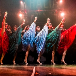 Dance group Beesd  (NL) Moulin Rouge can dance act