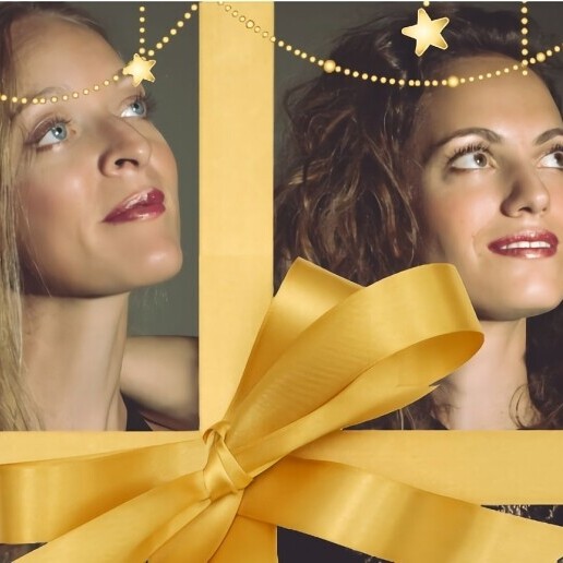 Violinist Voorburg  (NL) 