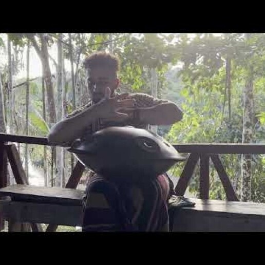 Musician other Vlaardingen  (NL) 