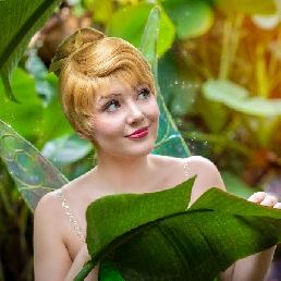 Elf Tinkerbell at your event