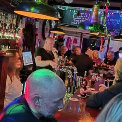 Singer (male) Amstelhoek  (NL) 