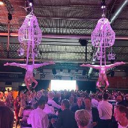 Duo Champagne Chandelier