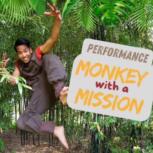 Dancer Apeldoorn  (NL) 