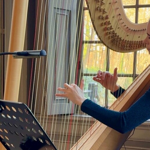 Harpist Sittard  (NL) 