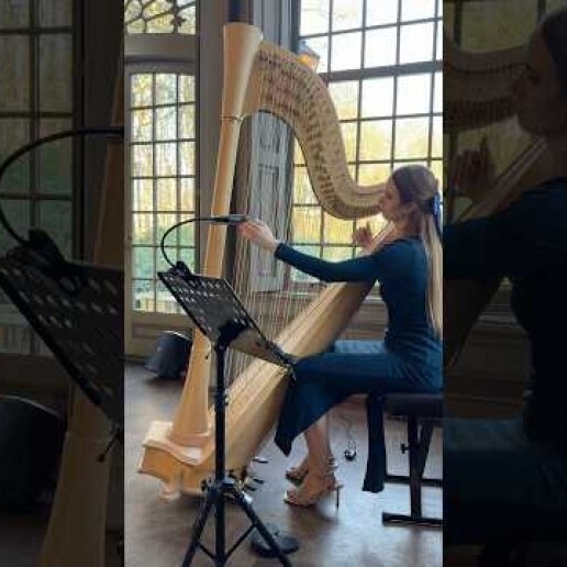 Harpist Sittard  (NL) 