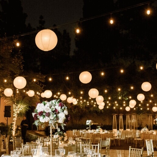 Artist Amsterdam  (NL) 