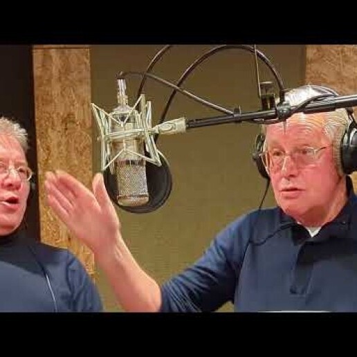 Singer (male) Zwartemeer  (NL) 