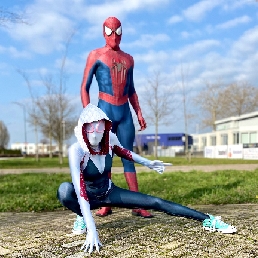 Character/Mascott Haarlem  (NL) Ghost-Spider /Spider-Gwen / Spiderman