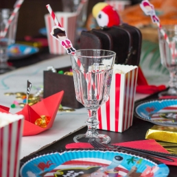 Pirate Party / Event - Nanny - Kids