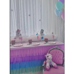Unicorn Party / Event - Nanny - Kids