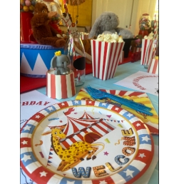 Circus Kids Party / Nanny/ Kinderfeestje