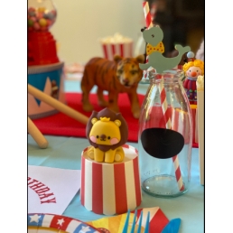 Circus Party / Nanny / Children's Party