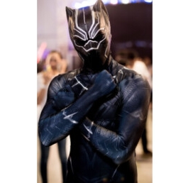 Black Panther - Superhero (from spidey)