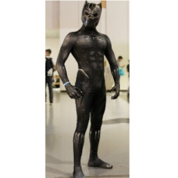 Black Panther - Superhero (from spidey)