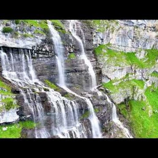 Photographer Oud Beijerland  (NL) 