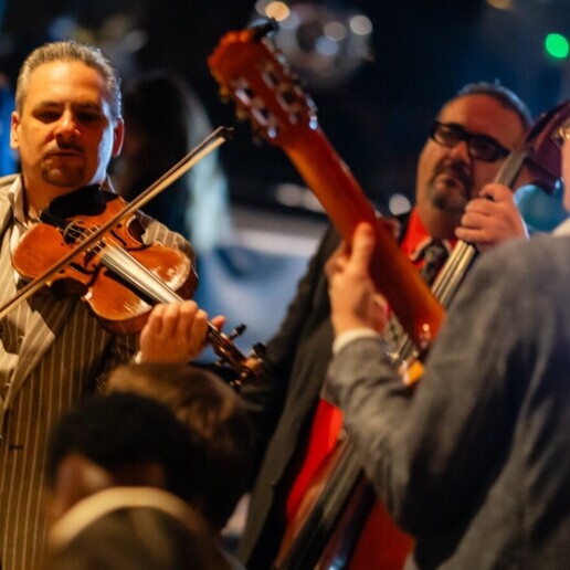 Violinist Deinze  (BE) 