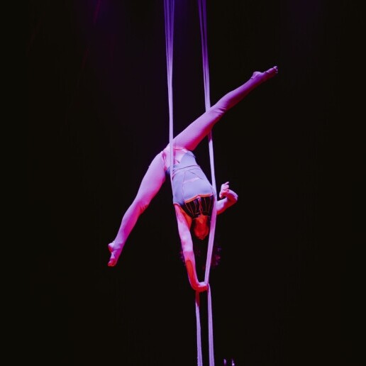 Acrobat Zingem  (BE) 