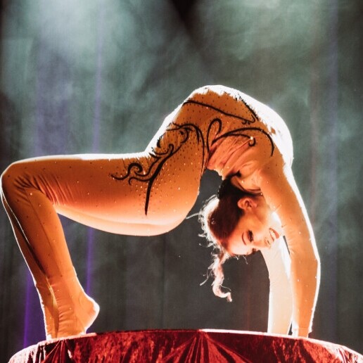 Acrobat Zingem  (BE) 