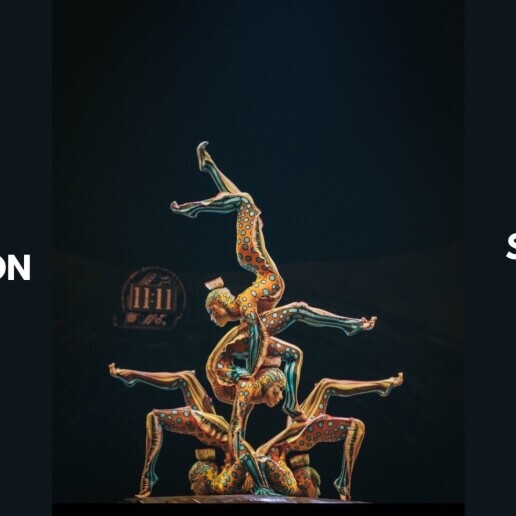 Acrobat Arnhem  (NL) 