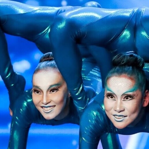 Acrobat Arnhem  (NL) 