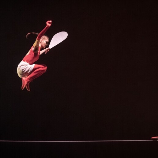 Acrobat Brussel  (BE) 