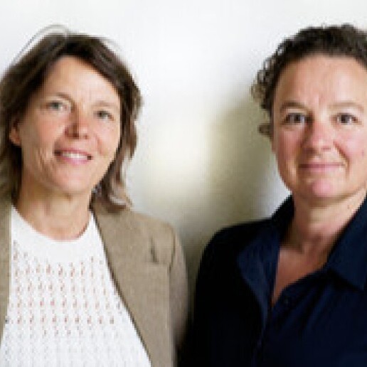 Trainer/Workshop Rosmalen  (NL) 