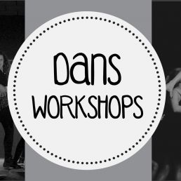 Trainer/Workshop Heinenoord  (NL) DANSWORKSHOPS