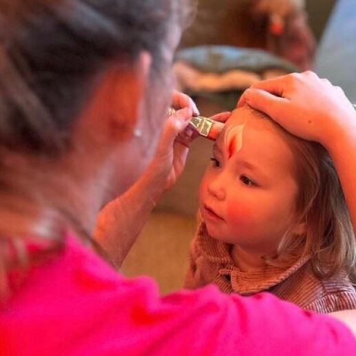 Trainer/Workshop Boxmeer  (NL) 