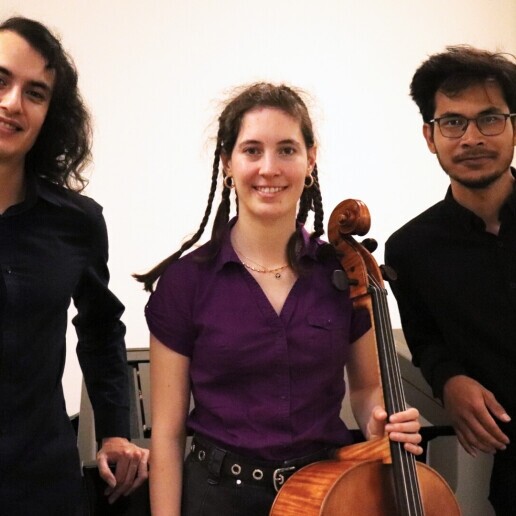 Orchestra Den Haag  (NL) 