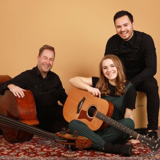 Band Willemstad  (Noord Brabant)(NL) 