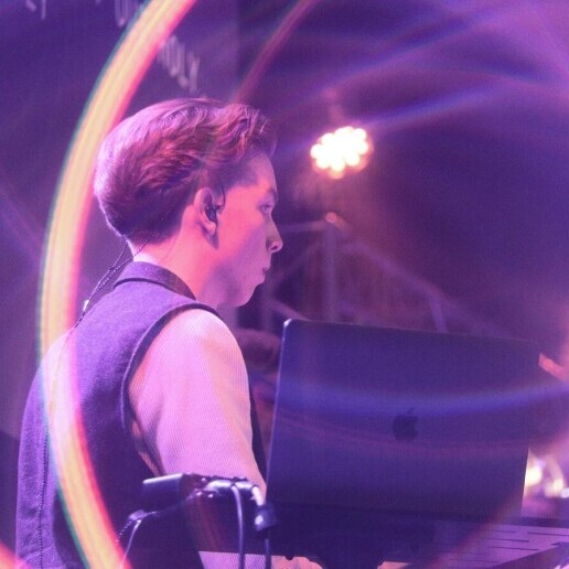 Pianist Sleeuwijk  (NL) 